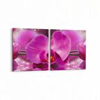 Olla 11731K2Y Orkide Çiçek Görseli 2'li Yatay Kanvas Tablo (Ölçü: 85X40)