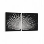 Olla 12601K2Y Hayvanlar Alemi Görseli Kare 2'li Yatay Kanvas Tablo (Ölçü: 65X30)