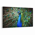 Olla 12653Y Hayvanlar Alemi Görseli Yatay Kanvas Tablo (Ölçü: 120X80)