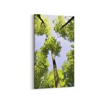 Olla 11543DD Palmiye Ağacı Görseli Dikey Dar Kanvas Tablo (Ölçü: 30X60)