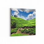 Olla 14545K Doğa / Manzara Görseli Kare Kanvas Tablo (Ölçü: 25X25)