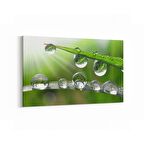 Olla 17222Y Su / Damla Görseli Yatay Kanvas Tablo (Ölçü: 70X50)
