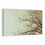 Olla 10826Y Ağaç Görseli Yatay Kanvas Tablo (Ölçü: 90X60)