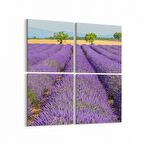 Olla 14110K4 Doğa / Manzara Görseli Kare 4'lü Kanvas Tablo (Ölçü: 145X145)