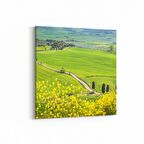 Olla 14007K Doğa / Manzara Görseli Kare Kanvas Tablo (Ölçü: 30X30)