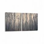 Olla 13155K2Y Doğa / Manzara Görseli Kare 2'li Yatay Kanvas Tablo (Ölçü: 125X60)