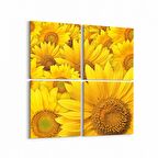 Olla 11579K4 Çiçek Görseli Kare 4'lü Kanvas Tablo (Ölçü: 145X145)