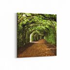 Olla 14625K Doğa / Manzara Görseli Kare Kanvas Tablo (Ölçü: 25X25)