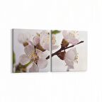 Olla 10854K2Y Ağaç Görseli Kare 2'li Yatay Kanvas Tablo (Ölçü: 125X60)