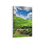 Olla 14545D Doğa / Manzara Görseli Dikey Kanvas Tablo (Ölçü: 60X90)