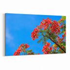 Olla 10882Y Ağaç Görseli Yatay Kanvas Tablo (Ölçü: 150X100)