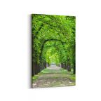 Olla 14389D Doğa / Manzara Görseli Dikey Kanvas Tablo (Ölçü: 70X105)