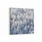 Olla 14255K Doğa / Manzara Görseli Kare Kanvas Tablo (Ölçü: 30X30)