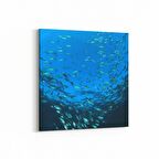 Olla 12972K Deniz / Okyanus Görseli Kare Kanvas Tablo (Ölçü: 25X25)