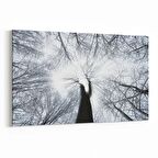 Olla 11046Y Ağaç Görseli Yatay Kanvas Tablo (Ölçü: 150X100)