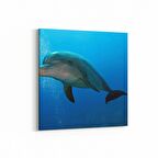 Olla 12956K Deniz / Okyanus Görseli Kare Kanvas Tablo (Ölçü: 25X25)