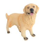 Kız Erkek Çocuk Oyuncak Model Köpek Ten Rengi Golden Retriever Kız Erkek Çocuk Oyuncak Eğitici Eğlen