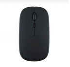 ZR216 Siyah Bluetooth Mouse