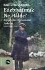 Edebiyatımız Ne Halde?