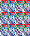 Bref Power Aktiv Klozet Bloğu Çam ve Lavanta Kokulu (48 Li Set) (12PK*4)