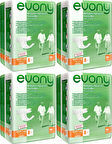 Evony Hasta Bezi Bel Bantlı Ekonomik Pk Büyük - L 32 Adet