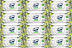 Solo Islak Havlu Mendil 50 Yaprak Limon & Biberiye (12 Li Set) (4PK*3) 600 Yaprak