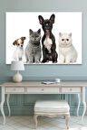 Sevimli Patiler Kediler Köpekler Dekoratif Kanvas Tablo