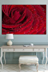 Kırmızı Gül Su Damlacığı Çiçek Dekoratif Kanvas Tablo