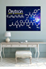 Oksitosin Oxytocin Kutsal Geometri Yaşam Çiçeği Tablo