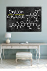 Grabovoi Oksitosin Oxytocin Kutsal Geometri Yaşam Çiçeği Tablo