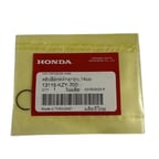 PERNO SEGMANI PCX 14mm A