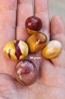 50 Gram Mokait Jasper Tamburlu Parçalar 652