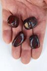 50 Gram Iron Jasper Tamburlu Parçalar 646