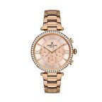 DANIEL KLEIN Çelik Kordonlu Kadın Kol Saati DKE.1.10230.3