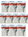 (10 Adet) Philips 250W Kızılötesi (infrared) Isıtıcılı Hayvan Isıtma ve Fizik Tedavi Lambası (Kırmızı Işık) E27 (Kalın Duy)