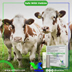 Vk-Pro Phosphor Bolus - 12 Adet 185 gr