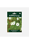 Çiçek Tohumu Beyaz Renkli Çörekotu