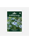 Çiçek Tohumu Mavi Renkli Çörekotu