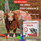 Vk-Pro Performance Bolus - 1 Adet 110 gr