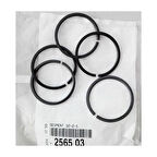 Peugeot Orjinal 2565.03 Şanzıman Segmanı 2565.03