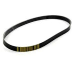 Peugeot Orjinal 5750.VG V Gergi Kayış (Alternatör) (6PK1726) Xsara Xsara Picasso P406 YM P605 R 206 Dizel Xu Motor Klimal 5750.VG