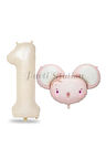 Pink Mouse 2 Yaş Balon Set Sevimli Pembe Fare Konsept Balon ve Rengarenk Rakam Balon Hamster Balon