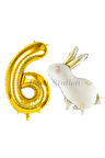 Sevimli Tavşan Rabbit 1 Yaş Balon Set Woodland Konsept Tavşan Balon ve Gold Renk Rakam Balon