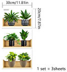 Raflı Bitki Tasarımlı Yapışkanlı Sticker 20*30 cm 3lü Set