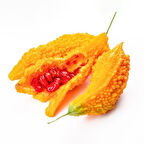 Ata Tohumları Geleneksel Doğal Kudret Narı Fidesi (10 adet Fide)