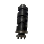 VİTES TOPUZU R25 A