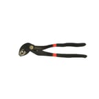 Papağan Pense 10'' 250mm
