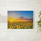 Ay Çiçek Tarlası Posteri 35X50 CM