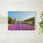 Lavanta Tarlası 50X70 CM