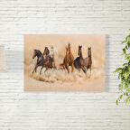 Koşan Atlar Posteri 50X70 CM